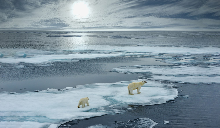 Arctic heating up four times faster than global warming: Study