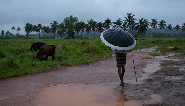 Heavy rainfall, thunderstorm lash several parts of Kerala; orange alert for 8 districts