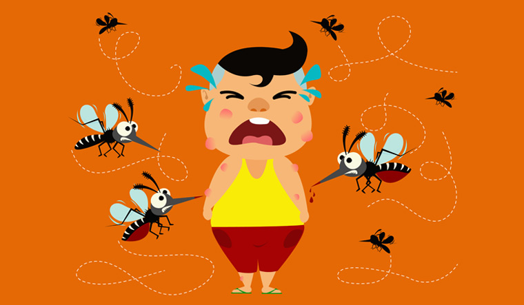 How mosquitoes choose the tastiest humans